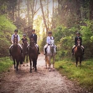 Meet your Posher, Natalie